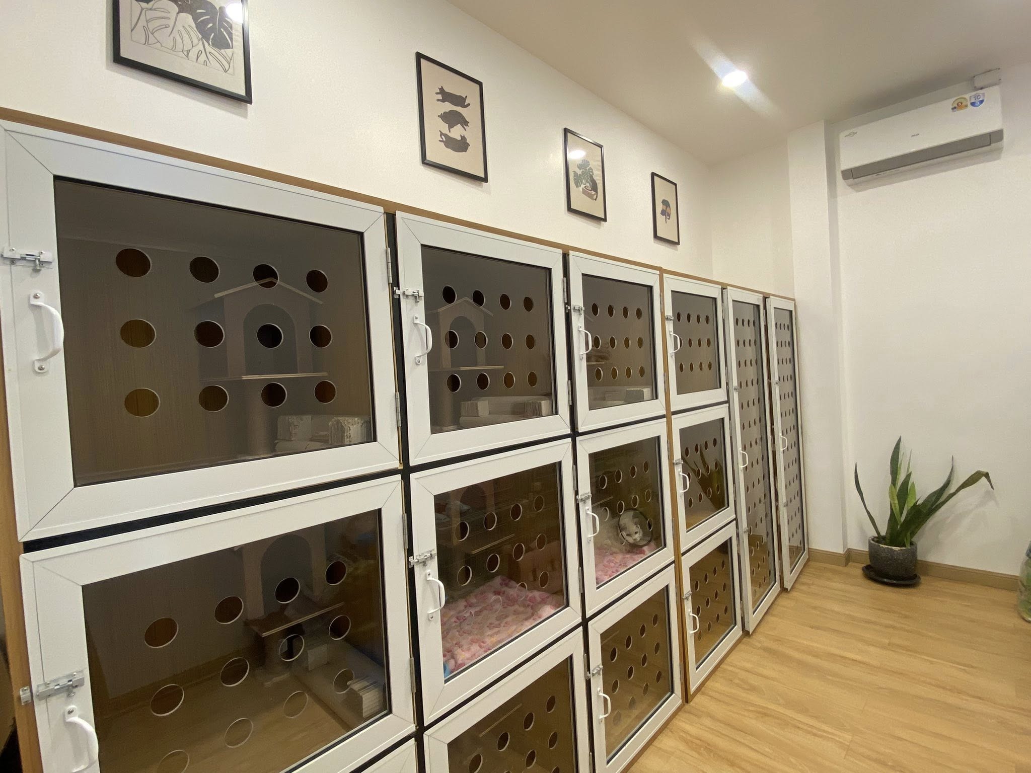 583330062_122146804844838702_8746853258783327858_n